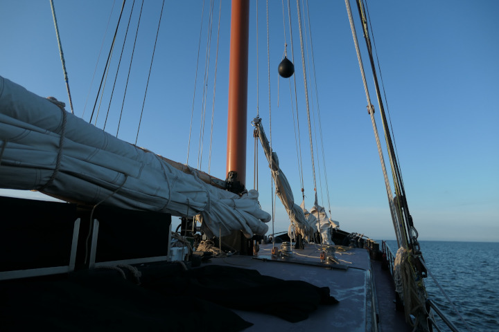 morgens im Wattenmeer