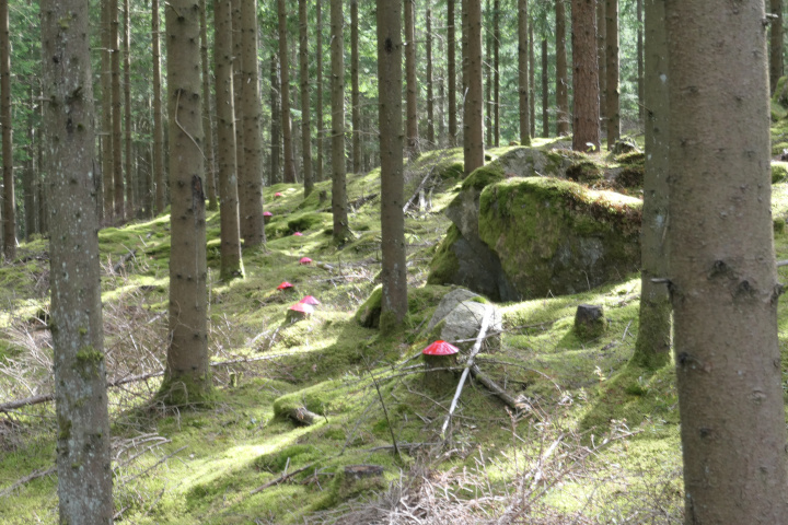Schmugglerspiel