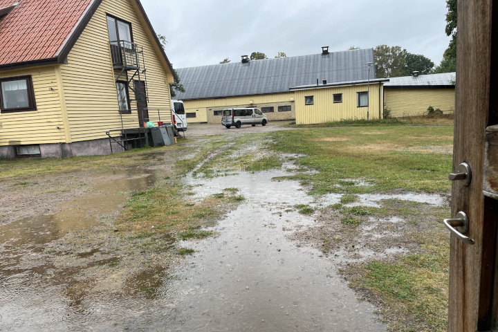 Regen