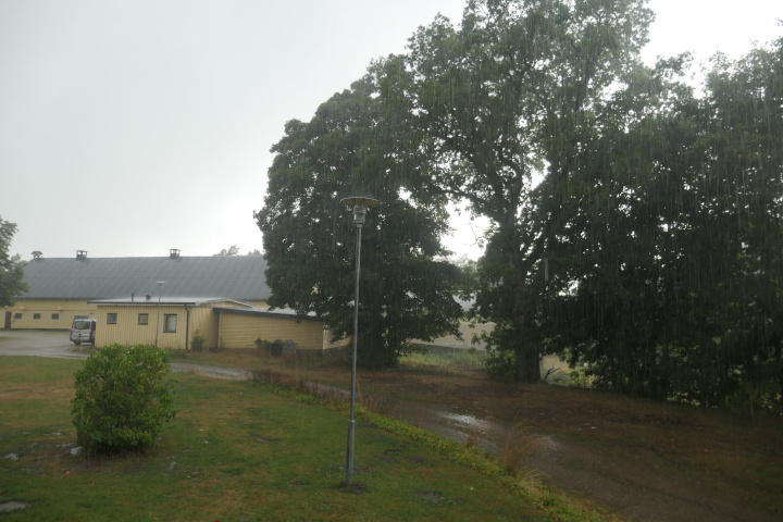 Regen