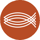Logo Norfbach